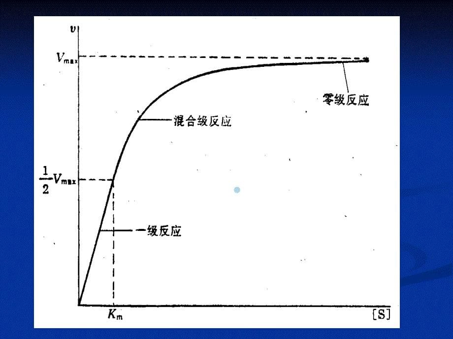 7.2直线回归与相关分析_第5页