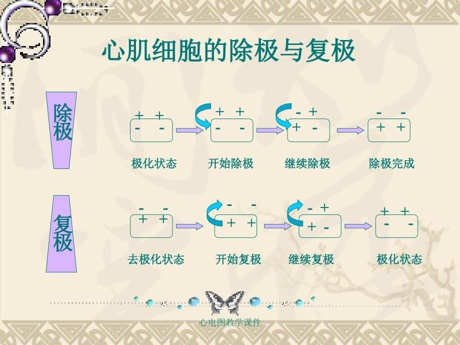 心电图教学课件_第5页