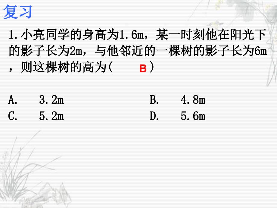 相似三角形的应用2_第2页