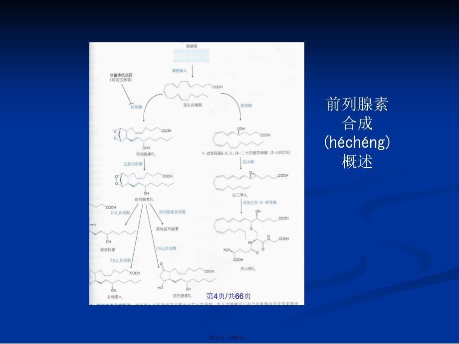 抗凝药和抗血小板药学习教案_第5页