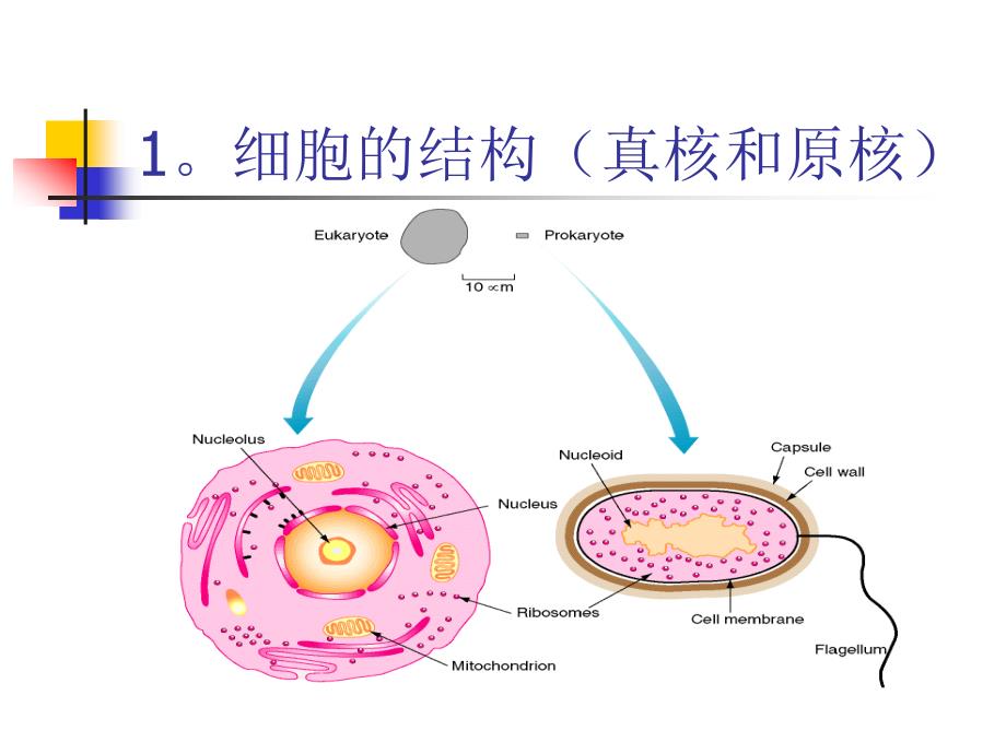 基因组测序流程介绍1_第3页