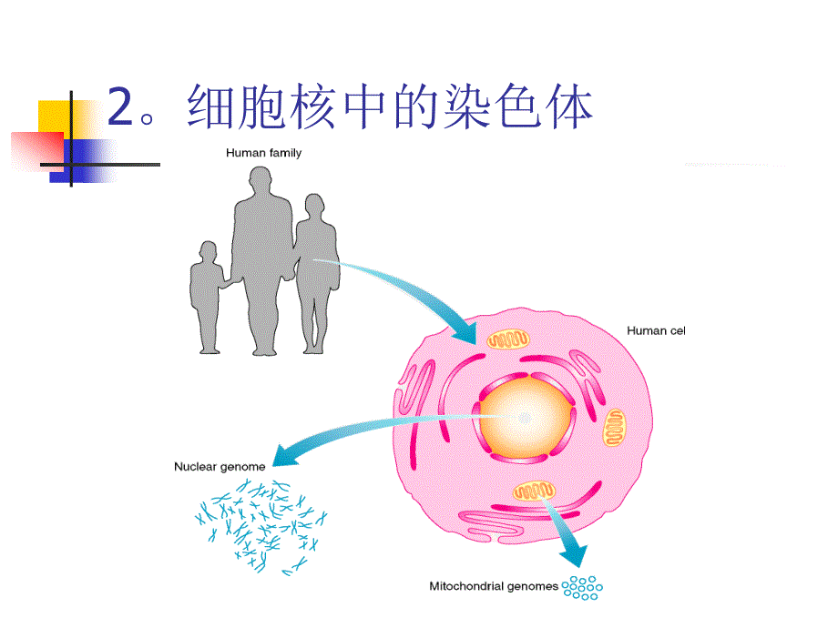 基因组测序流程介绍1_第4页