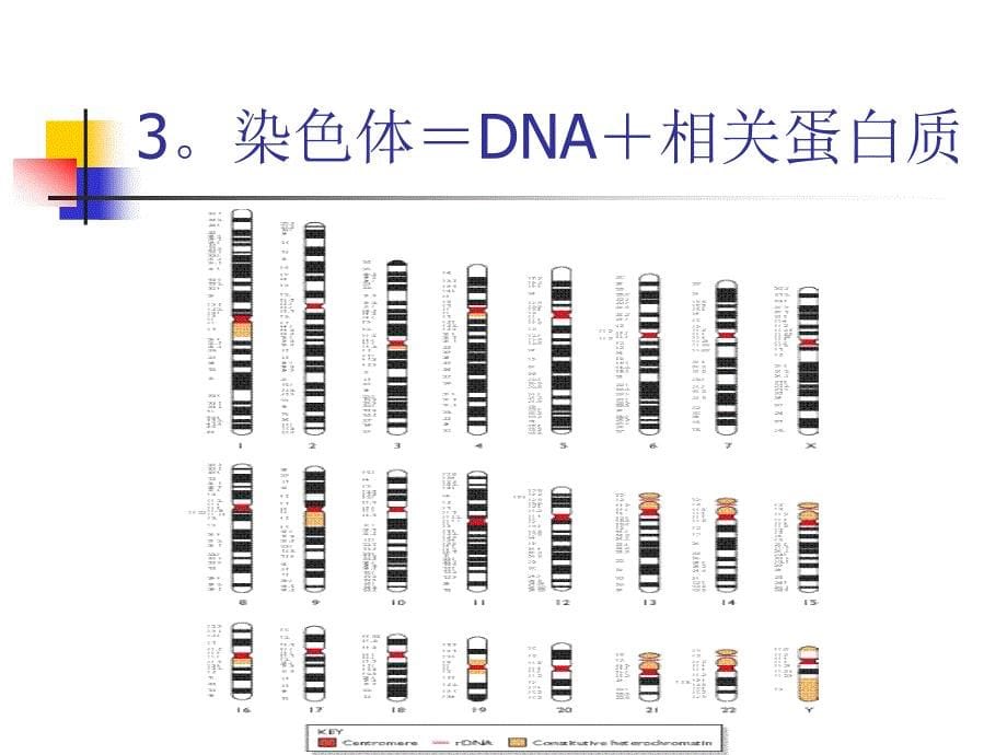 基因组测序流程介绍1_第5页