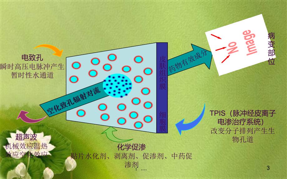 超声药物透入疗法对临床常见痛症的治疗ppt课件_第3页