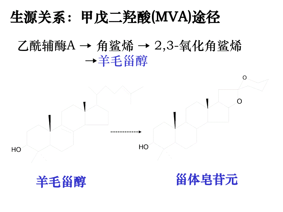 第八章甾体及其苷类_第4页