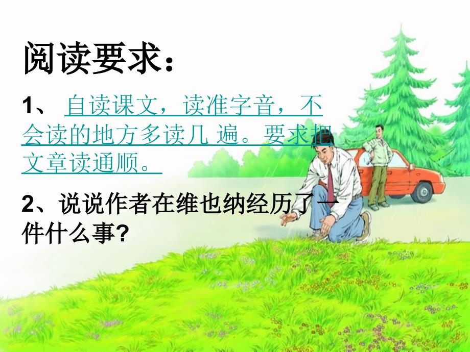 花的勇气课件_第2页