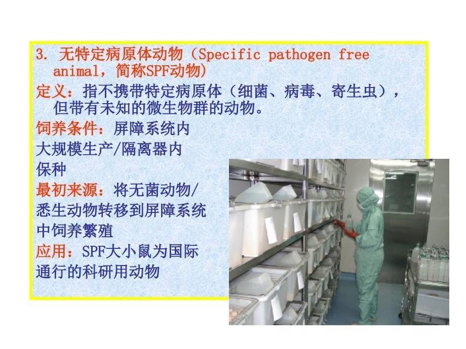 实验动物的微生物学分类_第5页