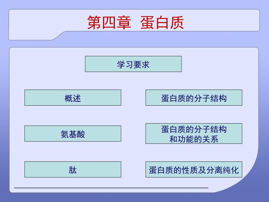 生物化学：第四章 蛋白质_第2页