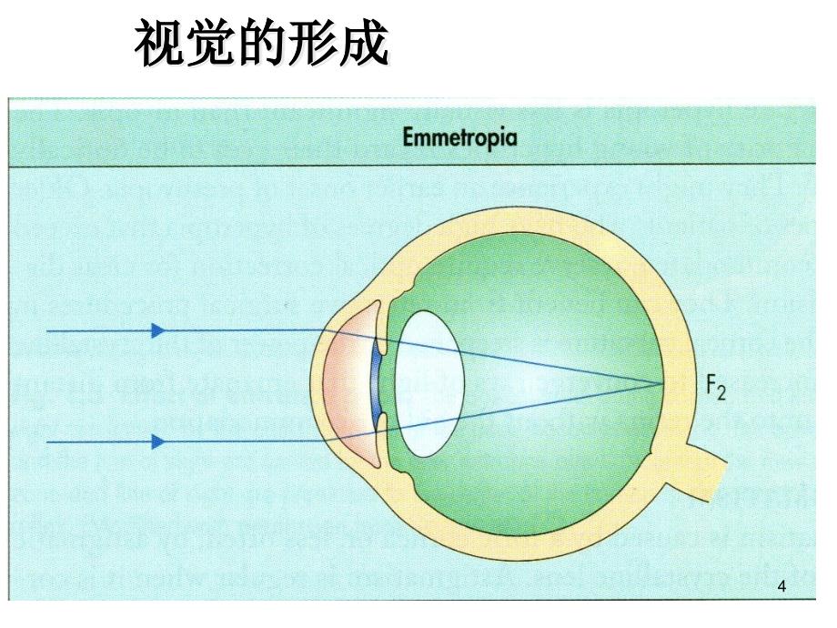 视力保健专题知识讲座ppt课件_第4页