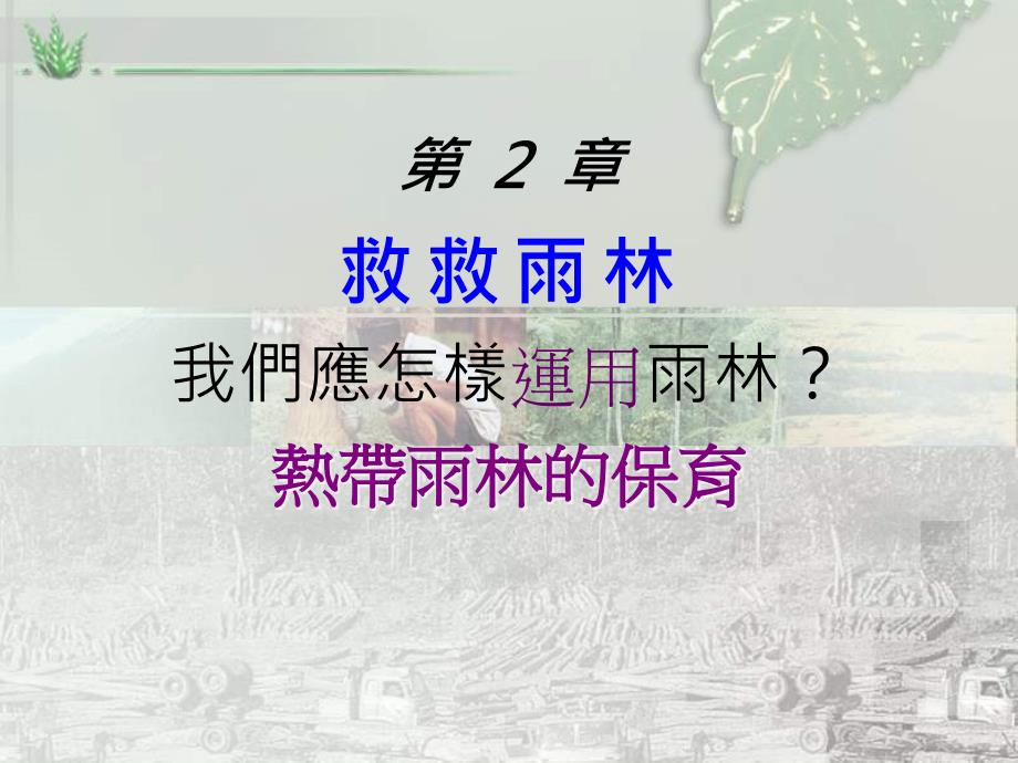 598第2章我們應怎樣運用雨林_第1页