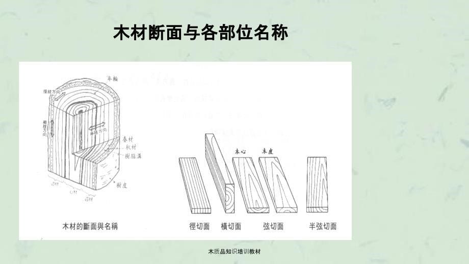 木质品知识培训教材_第5页