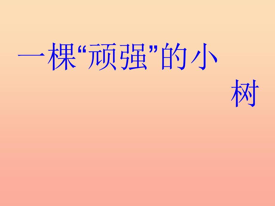 六年级科学上册1.1一棵顽强的小树课件4湘教版.ppt_第1页