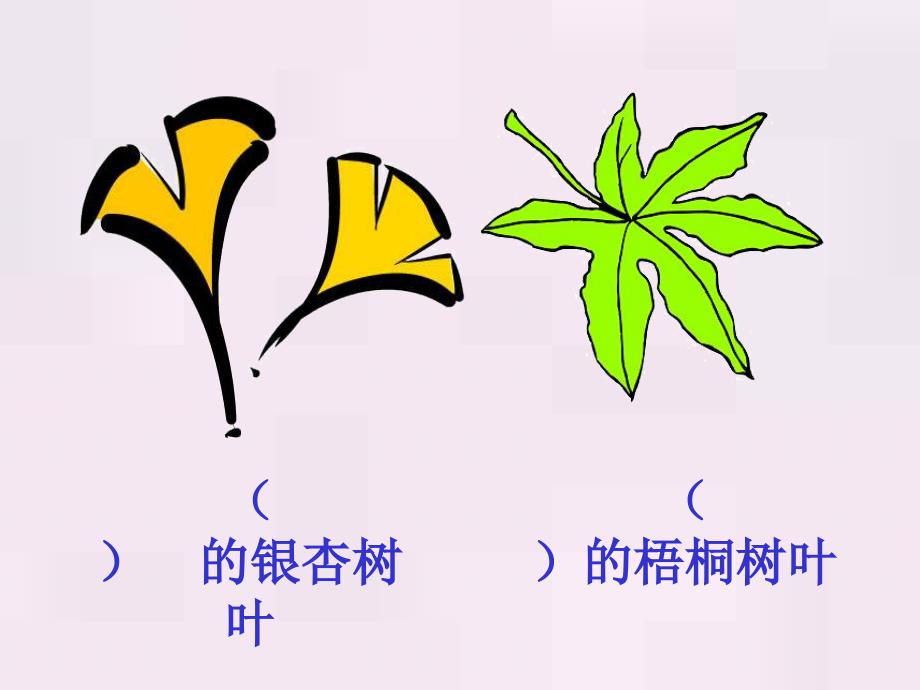 19蓝色的树叶的课件_第1页