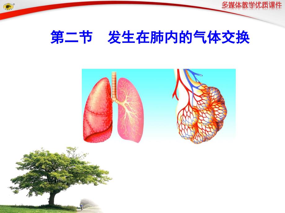 《肺内的气体交换》PPT课件_第1页