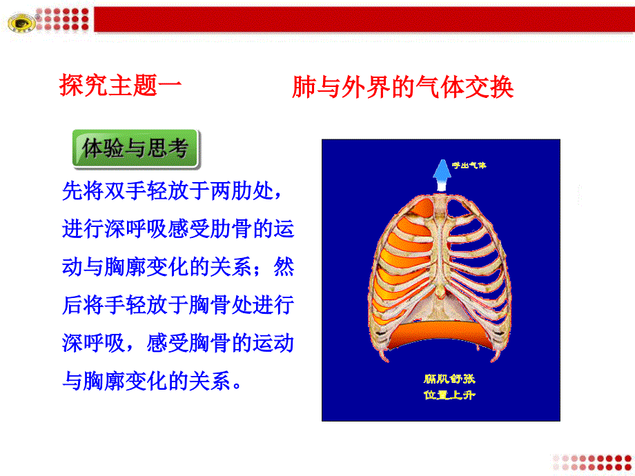 《肺内的气体交换》PPT课件_第3页