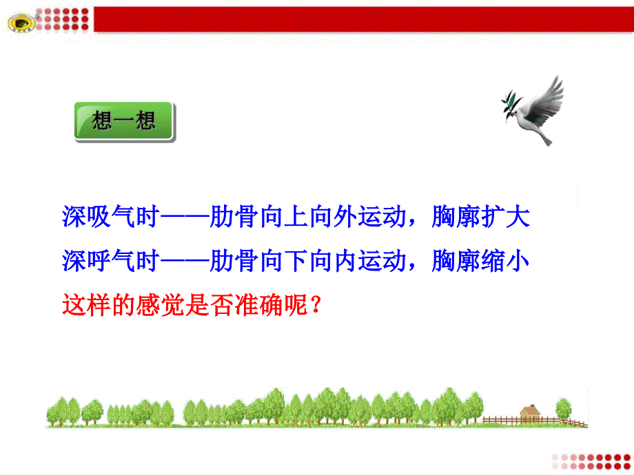 《肺内的气体交换》PPT课件_第4页