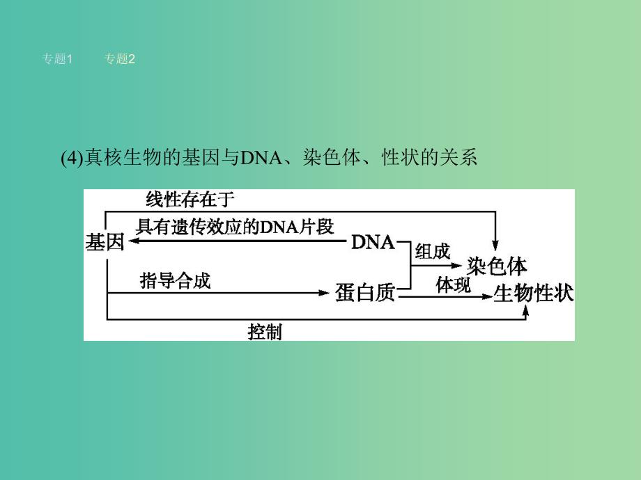 高中生物 专题四 生物技术的安全与伦理整合提升课件 新人教版选修3.ppt_第4页