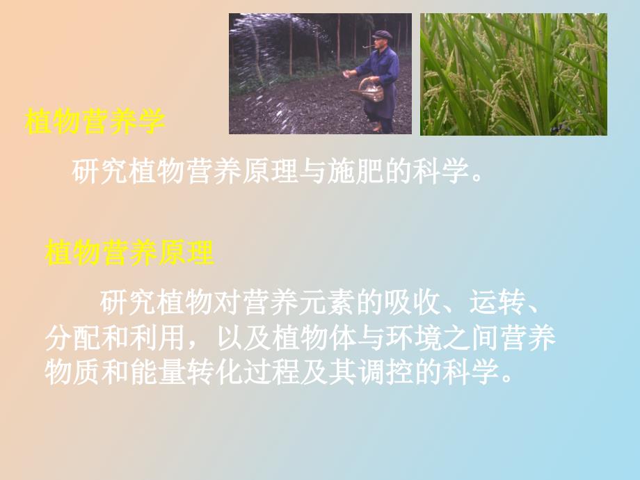 植物营养与分子生物学_第2页