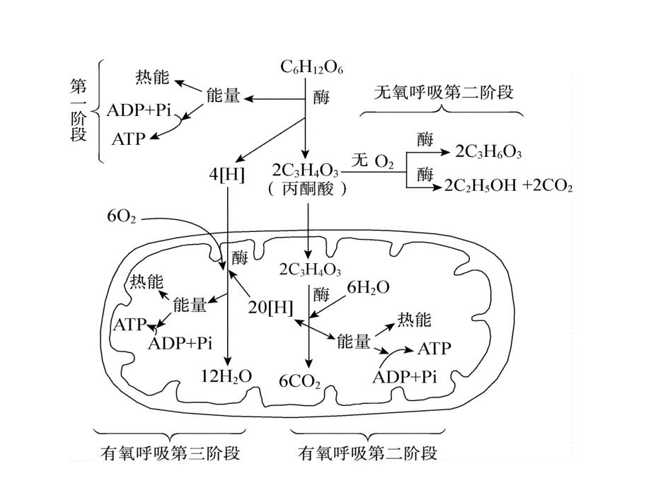 动词-ing形式_第4页