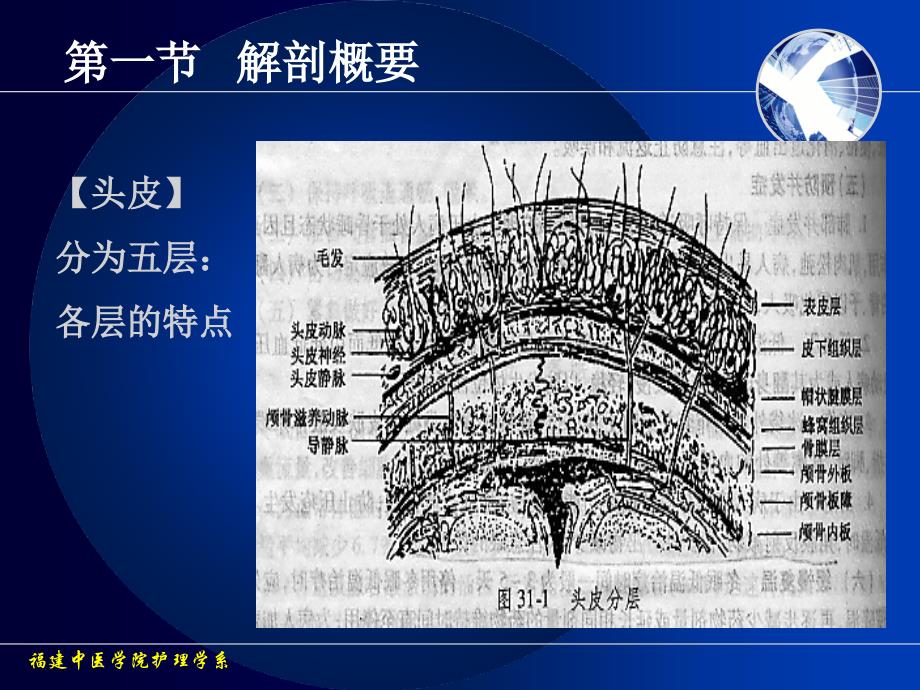 28颅脑损伤病人的护理_第3页