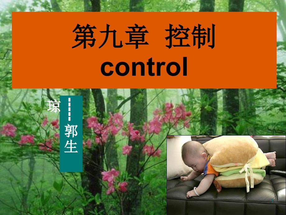 护理管理学第七章控制ppt课件_第1页