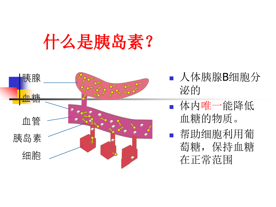 糖尿病病人的胰岛素治疗_第2页