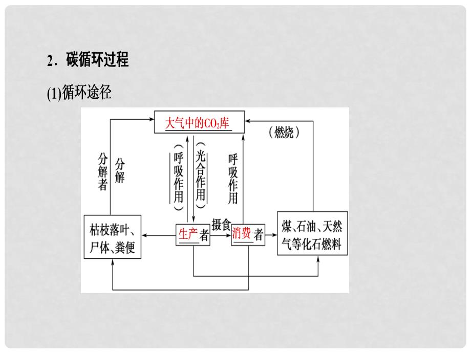 高考生物一轮复习 第10单元 生态系统及稳定性 第3讲 生态系统的物质循环、信息传递及稳定性课件_第3页