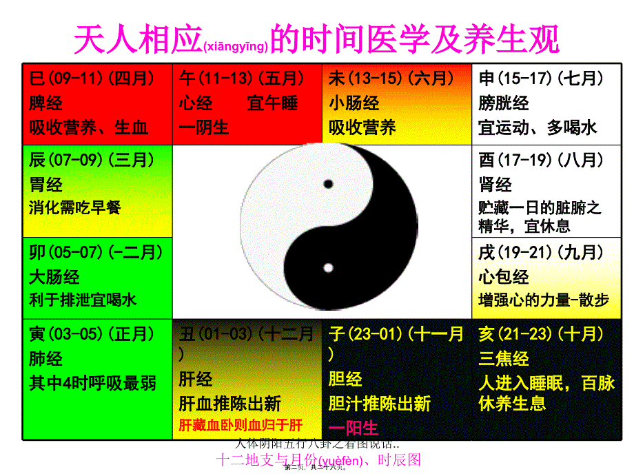 人体阴阳五行八卦之看图说话..课件_第2页