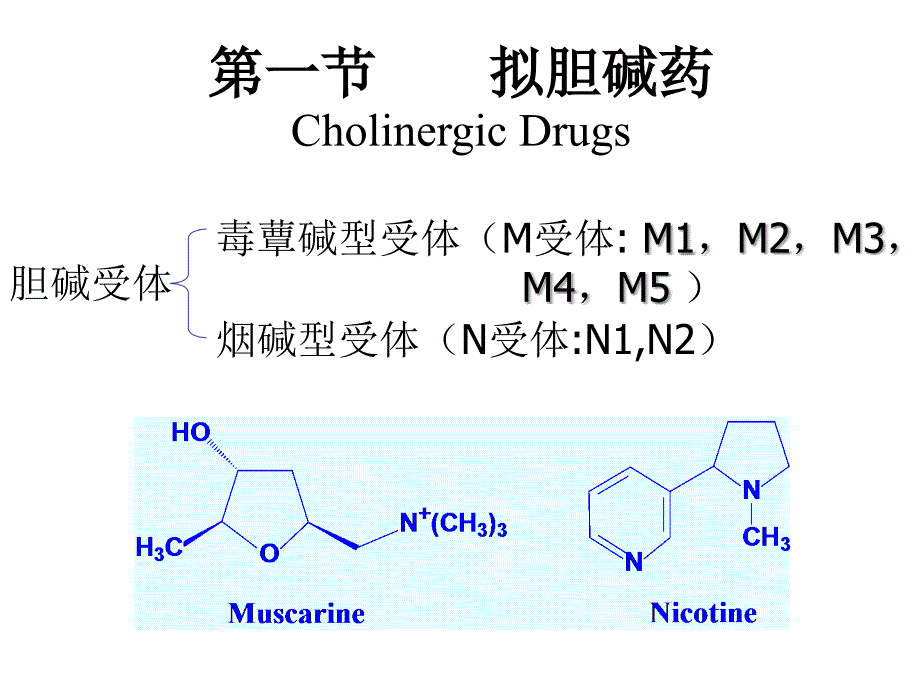 医学课件第三章外周神经系统药物PeripheralNervousSystemDrugs_第2页