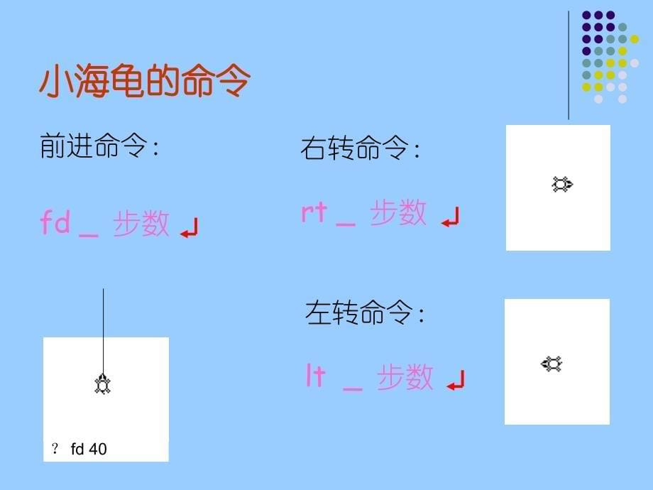 10小海龟起步走_第5页