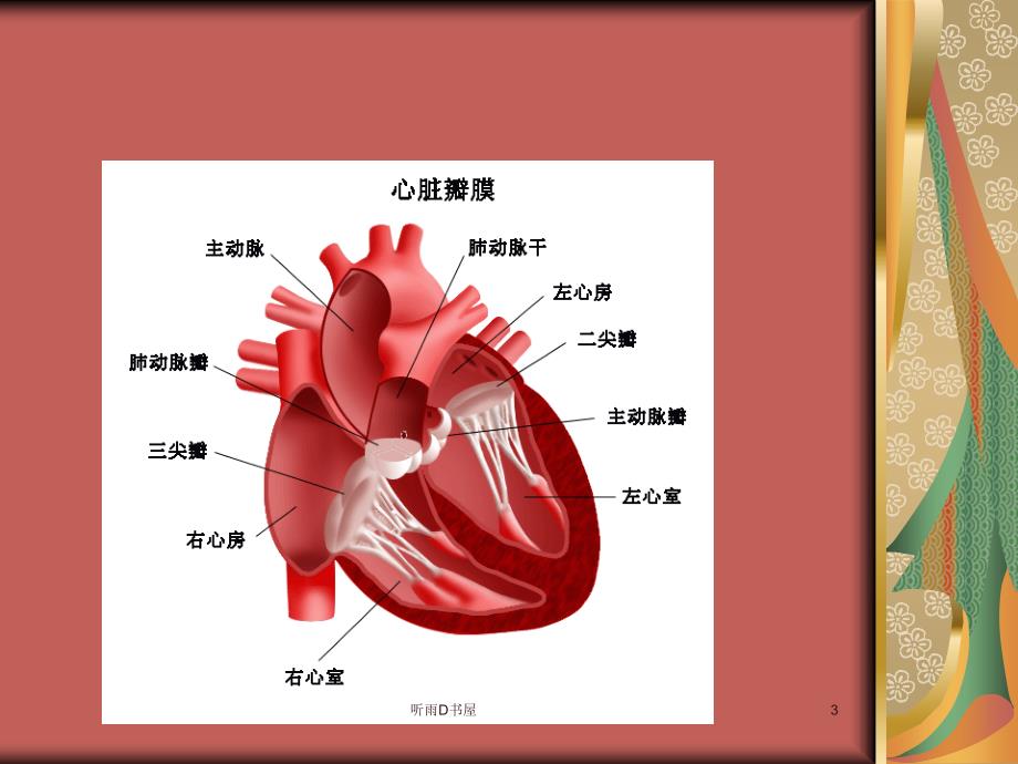 心脏瓣膜置换术后的护理特制荟萃_第3页