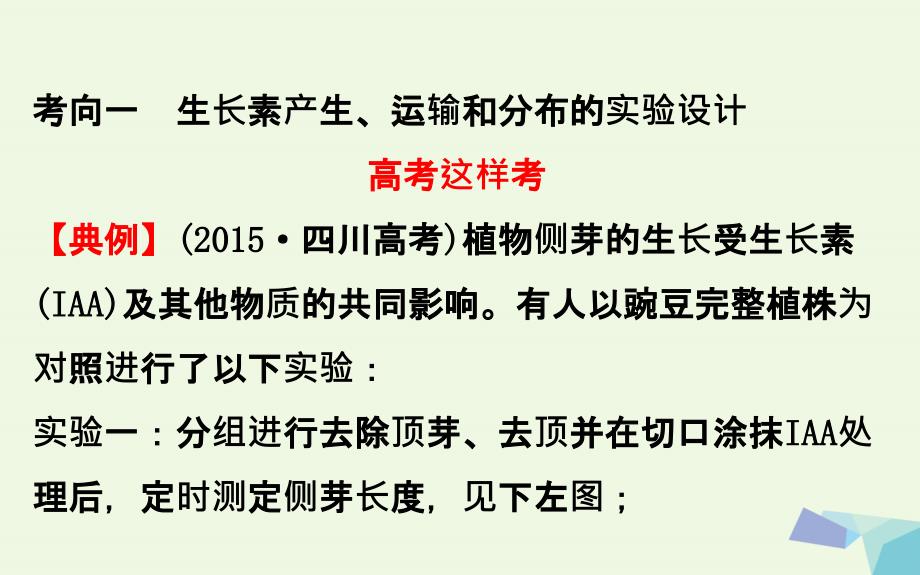 年高考生物大一轮复习 高考提分课 植物激素调节的实验探究课件_第2页