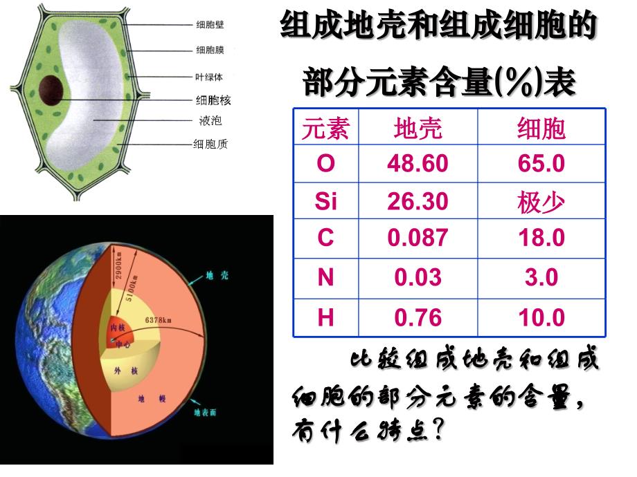 a细胞中的元素和化合物20PPT.ppt_第2页