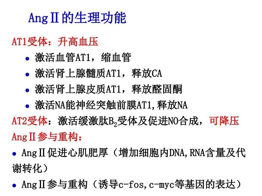 药理学课件：23 肾素血管紧张素系统药理_第5页