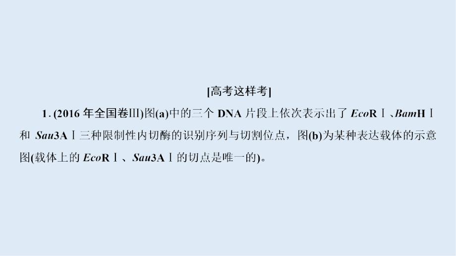 高三一轮总复习生物课件：专项强化课11 限制酶的选择与目的基因的检测与鉴定_第3页