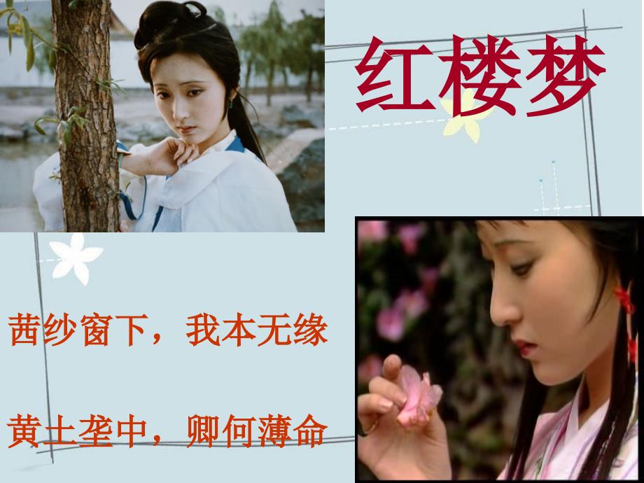 《红楼梦精美赏析》PPT课件.ppt_第1页