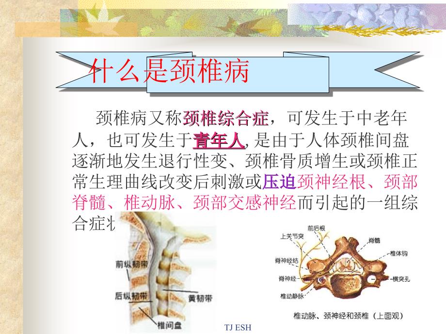 防颈椎病不难文档资料_第1页