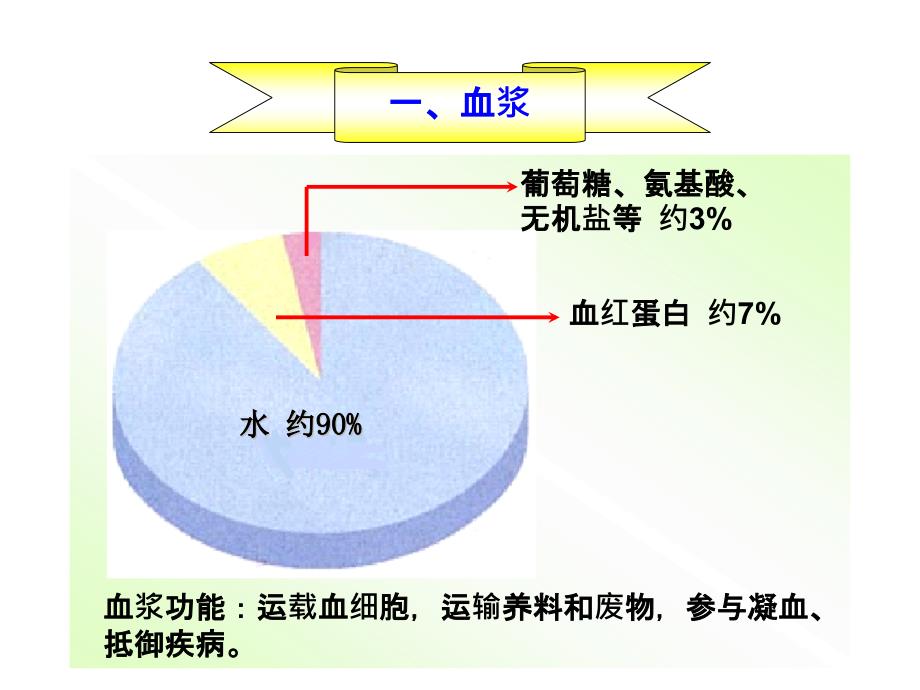 血液循环复习_第2页