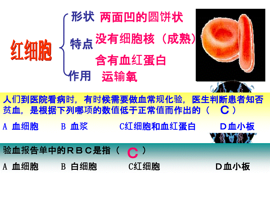 血液循环复习_第3页