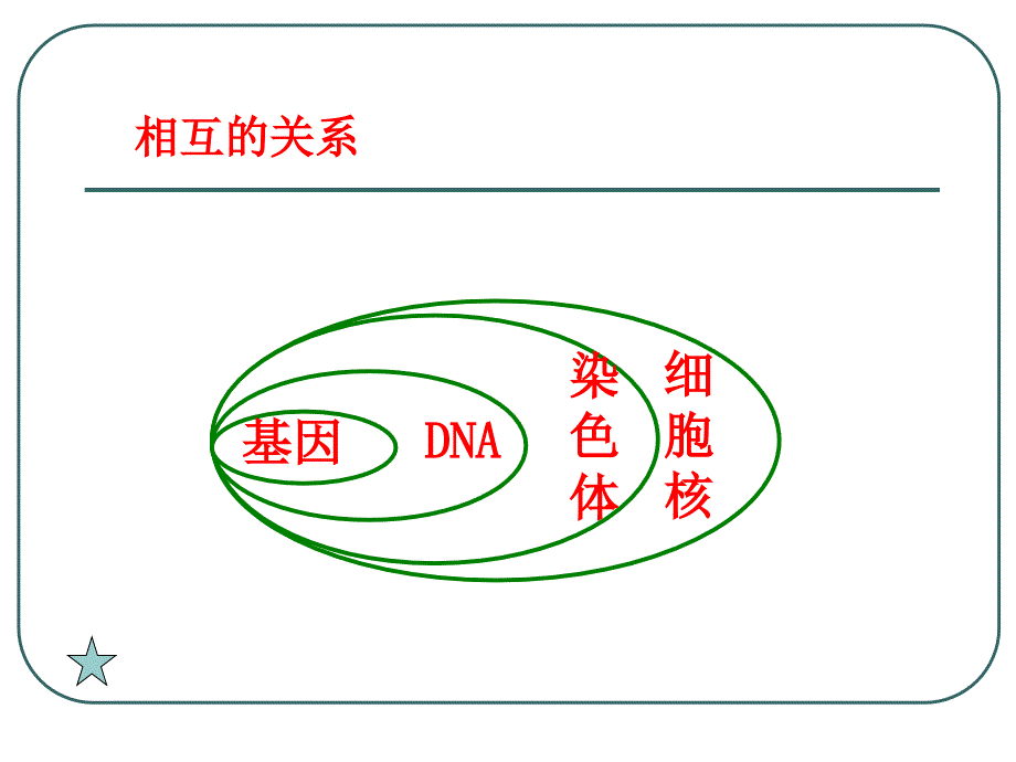 现代生物技术_第4页