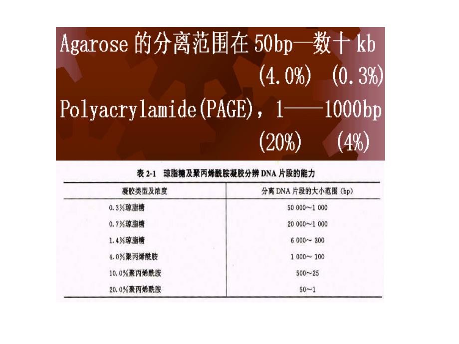 第五章分子生物学研究方法朱玉贤版课件_第2页