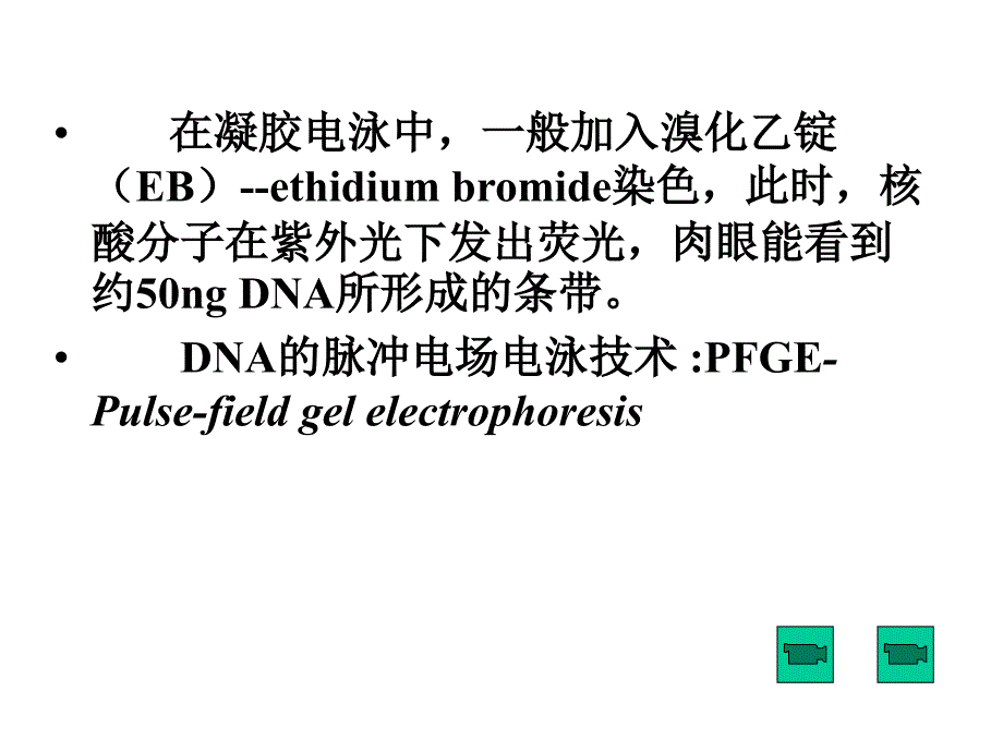 第五章分子生物学研究方法朱玉贤版课件_第3页