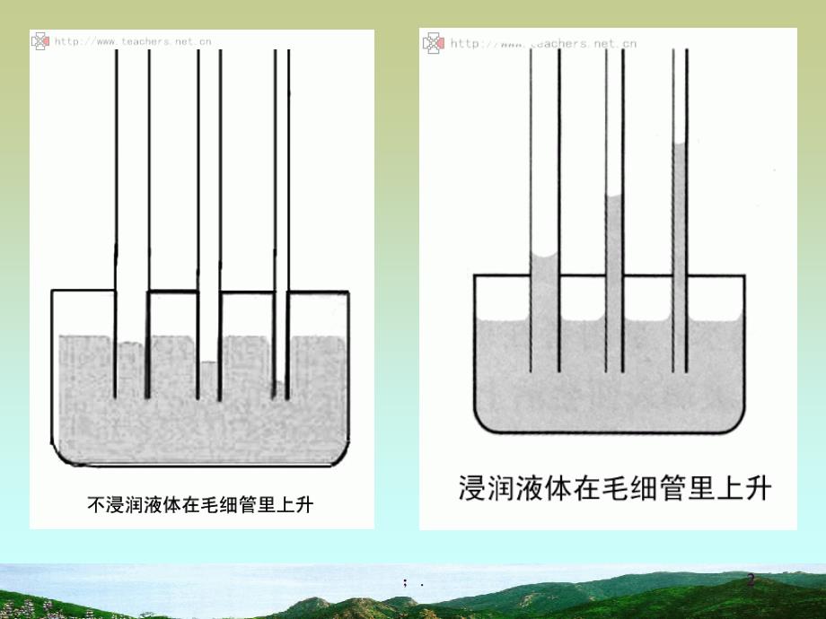 毛细现象ppt课件_第2页