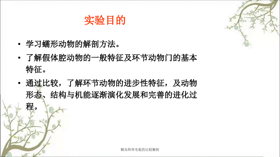 蛔虫和环毛蚯的比较解剖课件_第2页