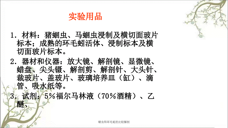 蛔虫和环毛蚯的比较解剖课件_第4页