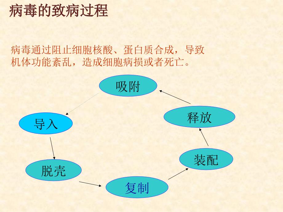 儿童用利巴韦林学PPT课件_第3页