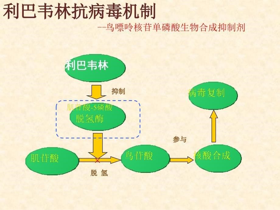 儿童用利巴韦林学PPT课件_第5页