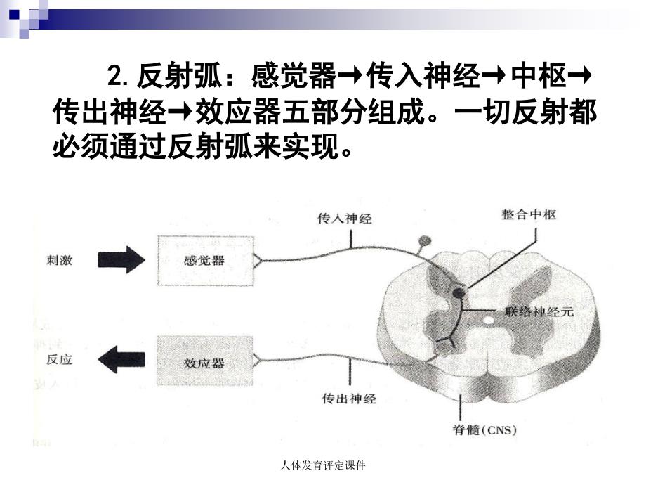 人体发育评定课件_第3页