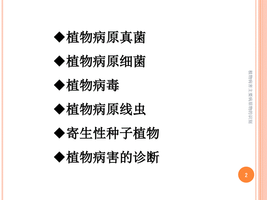 植物病害主要病原物的识别课件_第2页