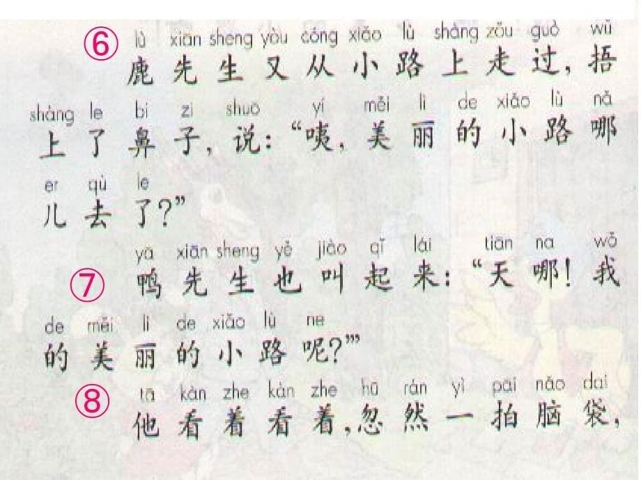 11《美丽的小路》课件_第5页